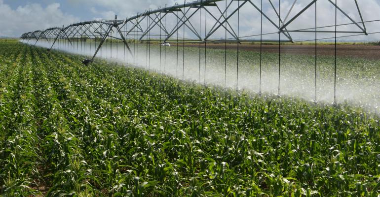 Nitrogen and irrigation summary report
