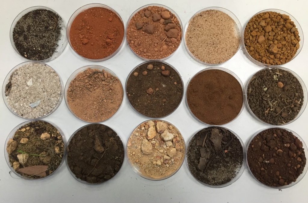 Soil Samples