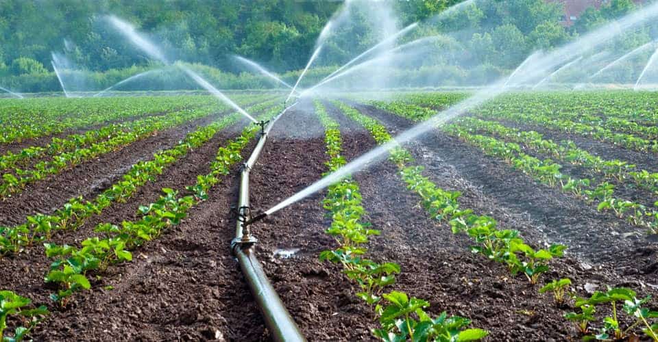 Irrigation Budgeting